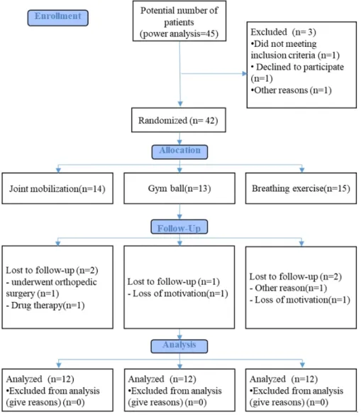 Figure 1. Flow diagram of this study. 
