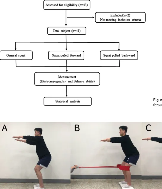 Figure 2. Resistance direction during squat. (A) General squat, (B) pulled forward squat, (C) pulled backward squat.