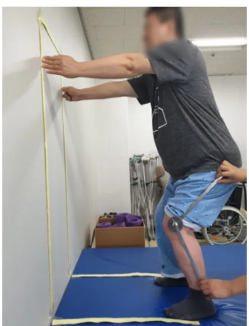 Figure 1. Guide line. Figure 3. Squat posture.