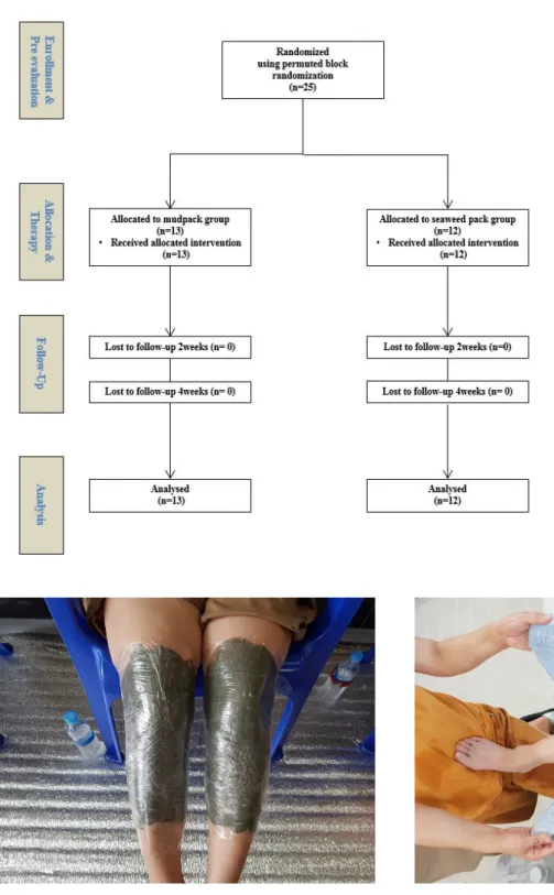 Figure 1. Flow chart depicting the pa- pa-tient analysis procedure.