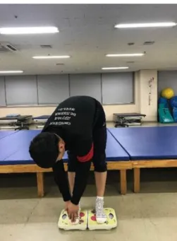 Figure 3. One side forward side toe  touch task during weight bearing.
