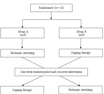Figure 1. Flow diagram of total experimental procedure.