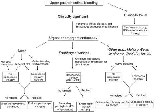 Fig.  1.  Diagnosis  and  manage- manage-ment  algorithm  in  upper   gastro-intestinal  bleeding.