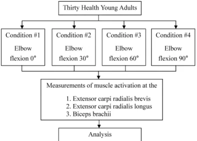 Table 1. General characteristics of the participants of this study (N=30)