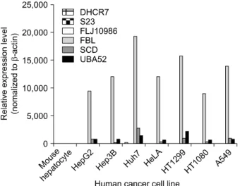 Fig.  6.  Relative  expression  levels  measured  by  semi-quantitative  RT-PCR.  In  order  to  validate  the  observed  expression  on  the  down-regulated  genes  (VTN,  PCK1,  ORM1),  we  performed   quan-titative  real-time  RT-PCR  in  different  hum