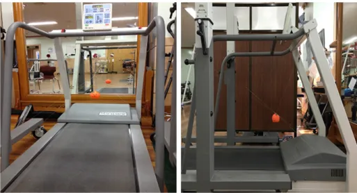 Figure 1. Body weight-supported tread- tread-mill training combined with ball-kicking.