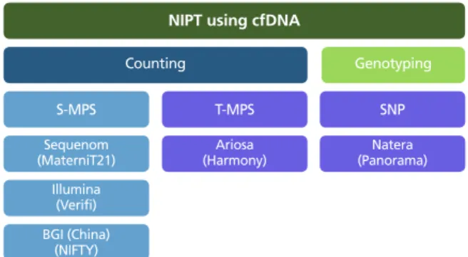 Figure 1.  Classification of non-invasive prenatal test (NIPT). cfDNA, cell free DNA; 