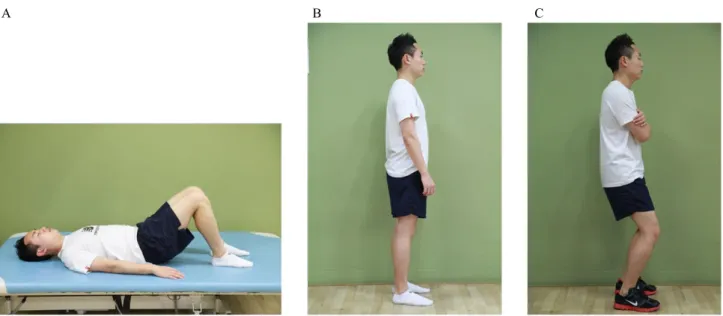 Figure 1. Three examination positions. (A) Crook lying position with hip 60 o  flexion, (B) standing position with the feet hip width apart and knees straight, (C) saddle standing position with the knees 20 o  flexed.