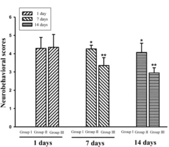 Figure 2. The effect of physical exercise increased expression of  glutamate transporter-1 (GLT-1)