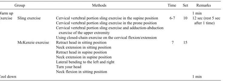Table 1. The summary of exercise program
