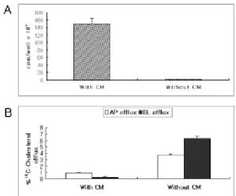 Fig. 2. The effect of Vitrogen coating on labeling and efflux of