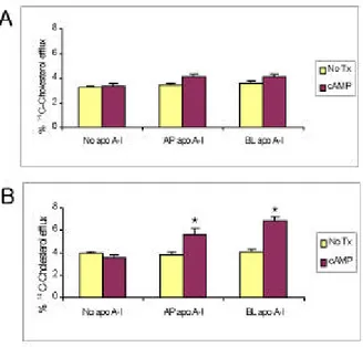 Fig. 7. Western blot study for ABCA1 and SR-BI. (A) ABCA1 signal increased by cholesterol loading is observed at 220 kD