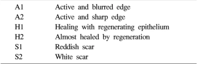 Table  3.  Six  Staging  System  of  Peptic  Ulcer A1 Active  and  blurred  edge A2 Active  and  sharp  edge