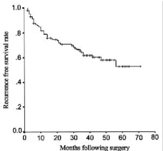 Fig. 2. Cumulative recurrence-free survival rate after curative resection of hepatocellular carcinomas