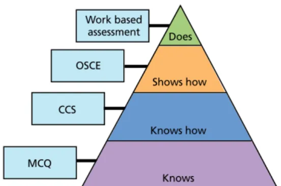 Figure 1.  The examination methods and Miller’s pyramid of competence. OSCE,  objective structured clinical examination; CCS, computerized case simulation; 