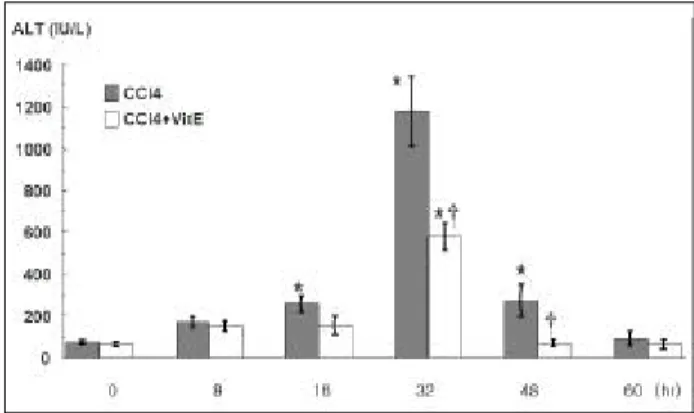 Fig. 2. The change of serum ALT level. Serum ALT level before inj ection of CCl 4 , at 8 hr, 16 hr, 32 hr, 48 hr, and 60 hr after inj ection of CCl 4 showed 74±20.7, 170±54.3, 258±83.5, 1178±
