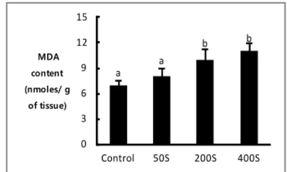 그림 1. Changes of hepatic MDA content in rat treated  with  styrene  for  4  days.
