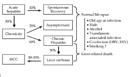 Fig. 1. Natural history of the patients with hepatitis C. Hepatitis C is a dichotomous disease in which the majority will probably live out their normal life span, but in which a subset of patients will die from liver-related causes