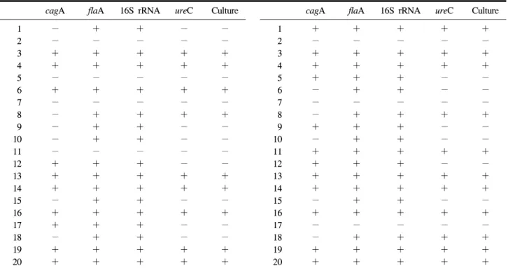 Fig.  1.  Detection  of  H.  pylori  DNA  in  the  rectal  fluid  and   ter-minal  ileal  fluid  by  PCR