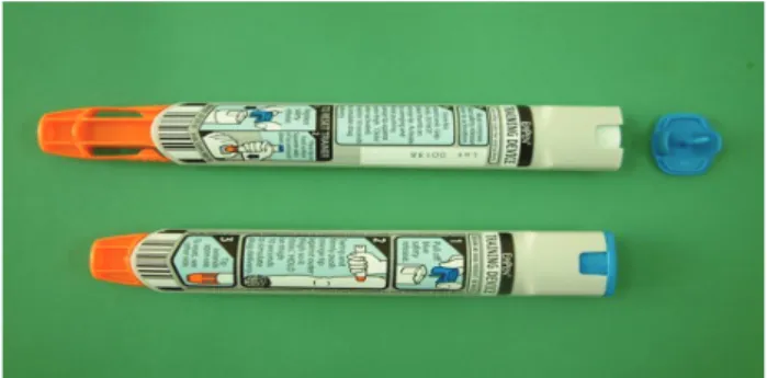 Figure 1.  Training kit of self-injectable epinephrine (Epipen; Mylan, Basking  Ridge, NJ, USA).