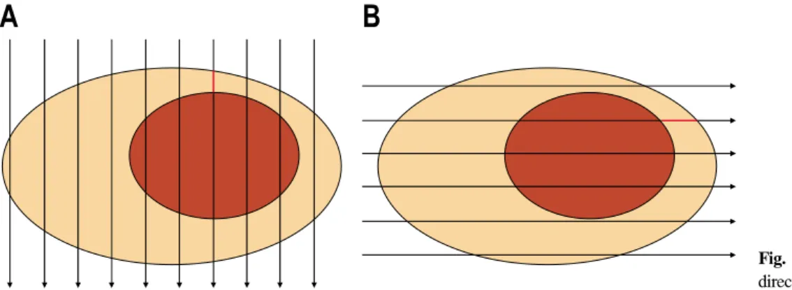 Fig.  1.  Cut  direction.  (A)  Correct  direction.  (B)  Wrong  direction.