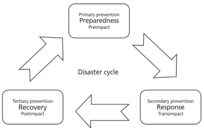 Figure 1.  The stepwise concept of disaster.