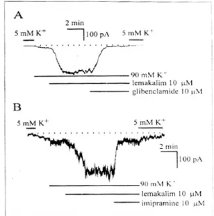 Fig. 5. A, Typical trace illustrating the effect of glibenclamide (10 μM) on the lemakalim-activated K+