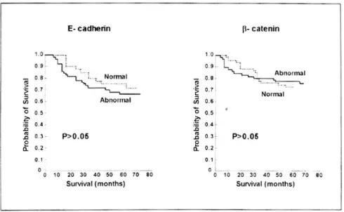 Fig. 5. Survial curves in colon cancer. Overall survival rates of normal staining (dotted line) of E-cadherin and β-catenin in colon cancer presented no differences from abnormal staining (solid line) (Kaplan-Meier' s product estimates, p>0.05).