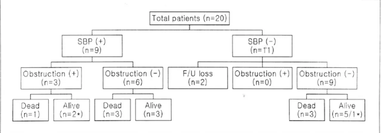 Fig. 2. Clinical course of patients. Mechanical intestinal obstruction developed in three patients out of nine with SBP either at the time of enrollment or during the follow-up, but none of the rest 11 patients who did not develop SBP (p&lt;0.05).
