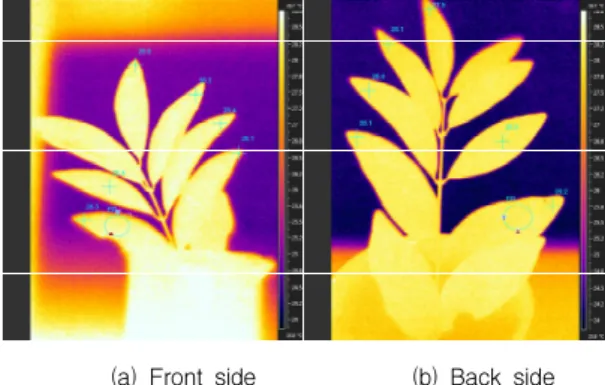 Fig. 4 Averaged surface temperature according to the time of a leaf with water and cider