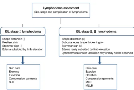 Figure 1.  Management of lymphedema. ISL, International Society of Lymphology; SLD,  simple lymphatic drainage; MLD, manual lymph drainage; MLLB, multi-layer lymphedema  bandaging.