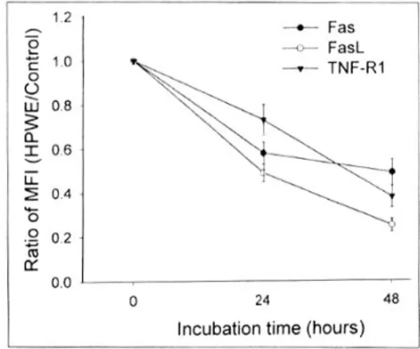 Fig. 11. Western blot analysis of the soluble form of Fas (sFas), Fas ligand (sFasL) and tumor necrosis factor receptor 1 (sTNF-R1)