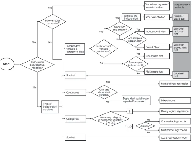 Figure 1.  A flowchart of appropriate tests of statistical inference.