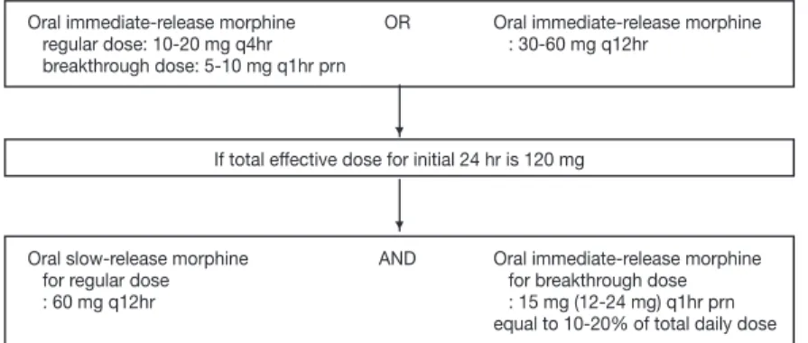 Figure 2.   Example of titration of total daily dose of morphine. From Ministry of Health &amp; 