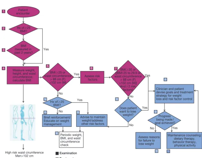 Figure 4.   Treatment algorithm for the assessment of patients with overweight and obesity