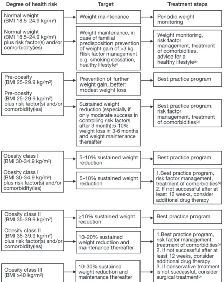 Figure 6.   Summary flow chart on the prevention and therapy of obesity in Germany. BMI,  body mass index