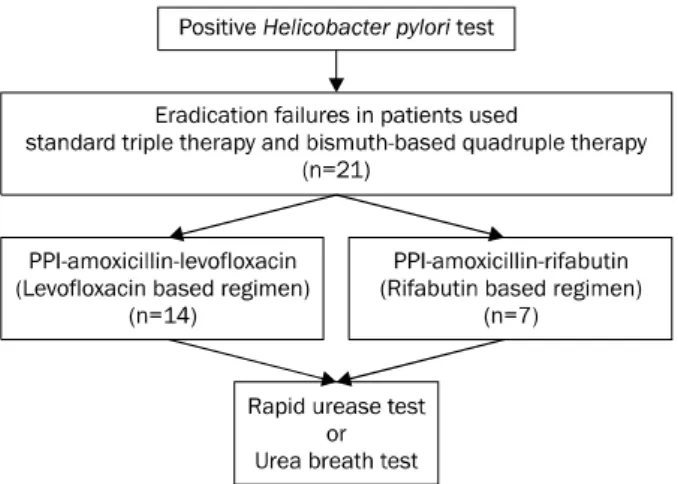 Fig. 1. The flow chart for eradication of Helicobacter pylori.