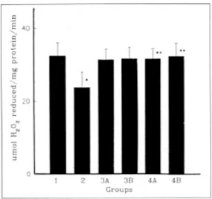 Fig. 4. Serum ADH activity. Values are mean±S.D. of 5 rats in each group. group 1, Normal rats; group 2, CBD ligated rats; groups 3A and 3B, The rats were sacrificed at the 1.5 hours (group 3A) and 24 hours (group 3B) after acute ethanol intoxication; grou