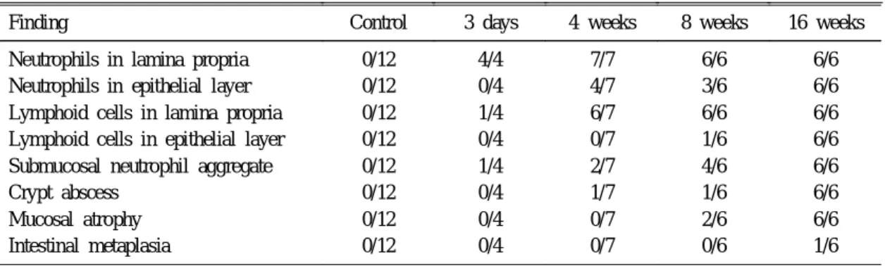 Table 2. Summary of Positivity of Rapid Urease Test after Inoculation of H. pylori