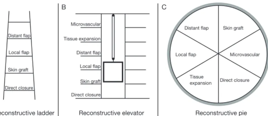 Figure 1.     Concept change from reconstructive ladder (A) through reconstructive elevator (B) to recon- recon-structive pie.