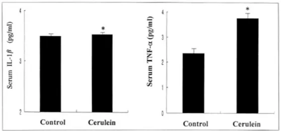 Table 1. The Biochemical Changes of Control and Cerulein-Induced Acute Pancreatitis in the Rat