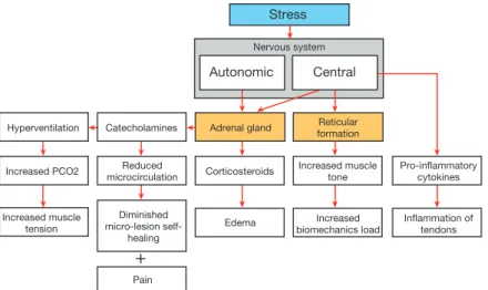 Figure 2.  Relations between stress and musculoskeletal disorders (propositions).