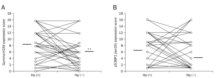 Fig. 2. Change of  γH2AX and phospho-53BP1 expressions in the gastric epithelial cells of 44 patients following eradication of Helicobacter pylori (H