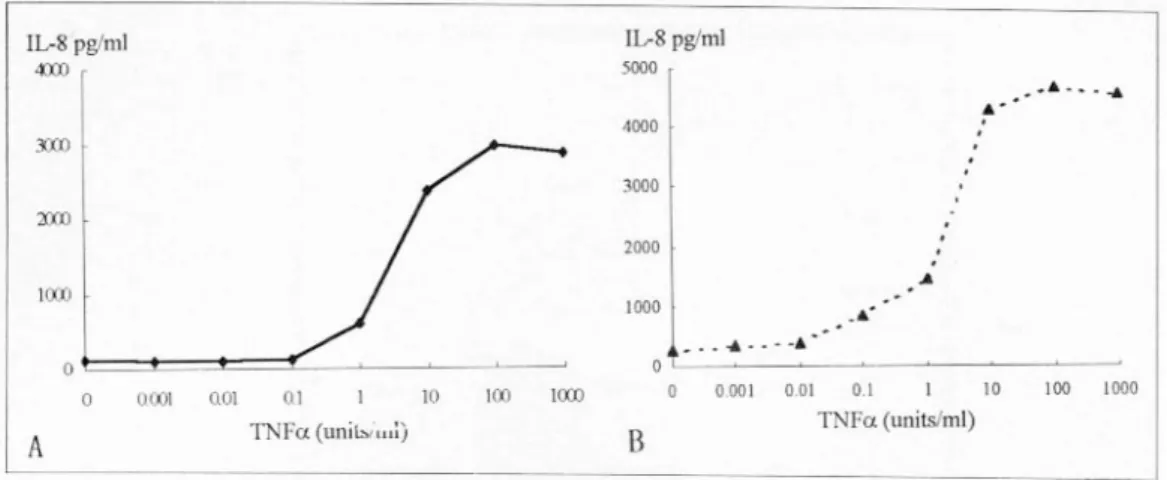 Fig. 5. Effects of various physical and chemical treatments of H. pylori on H. pylori-induced IL-8 production