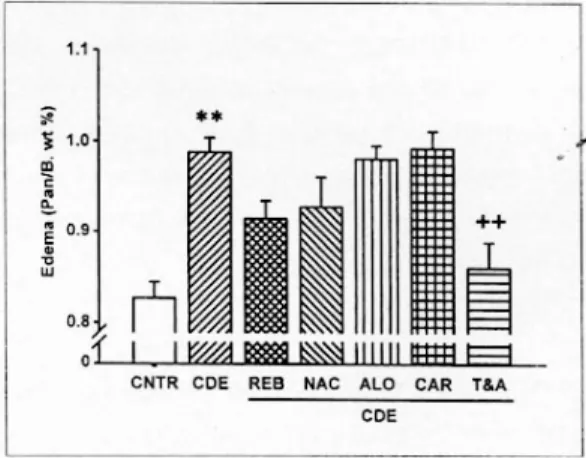 Fig. 3. Changes of serum amylase level in CDE diet- diet-induced acute pancreatitis. Control (CNTR), CDE,  rebami-pide (REB), N-acetyl-cysteine (NAC), allopurinol (ALO), β-carotene (CAR) and α-tocopherol &amp; ascorbate (T&amp;A) were administered as descr