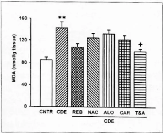 Fig. 4. Changes of pancreatic MDA level in CDE diet- diet-induced acute pancreatitis. Control (CNTR), CDE,  reba-mipide (REB), N-acetyl-cysteine (NAC), allopurinol (ALO), β-carotene (CAR) and α-tocopherol and ascorbate (T&amp;