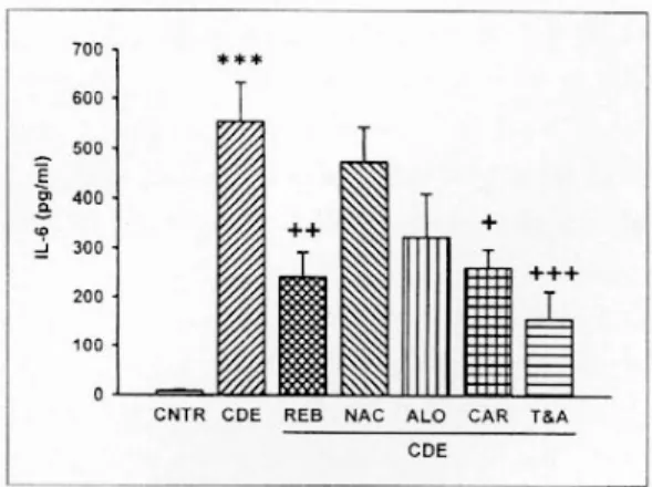 Fig. 7. Changes of serum IL-1β level in CDE diet- diet-induced acute pancreatitis. Control (CNTR), CDE,  rebami-pide (REB), N-acetyl-cysteine (NAC), allopurinol (ALO), β-carotene (CAR) and α-tocopherol and ascorbate (T&amp;