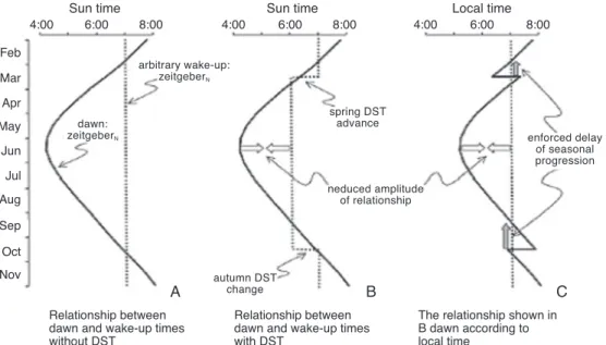 Figure 1. Relationship between natural and behavioral light-dark cycles with and without DST; adopted from kantermann, et al.(9)