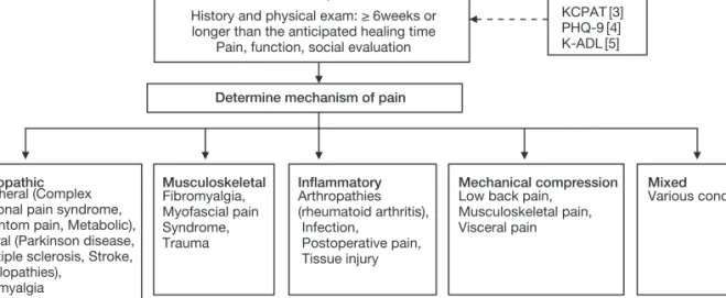 Figure 1. General approach to the chronic nonmalignant pain[1, 2].