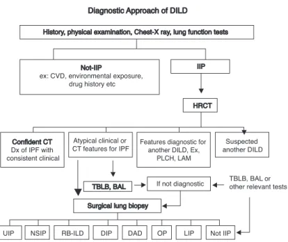 Figure 1.   The diagnostic process in diffuse pulmonary lung diseases (DPLDs) propo- propo-sed by the ATS/ERS (1).